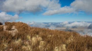 从M山山顶拍摄的照片, 金色的草原在图像的前景，云在天空和背景.